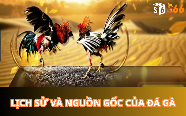 Lịch sử và nguồn gốc của Đá gà