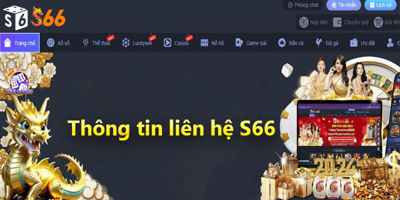 Tại sao bạn cần liên hệ s66 khi gặp vấn đề?